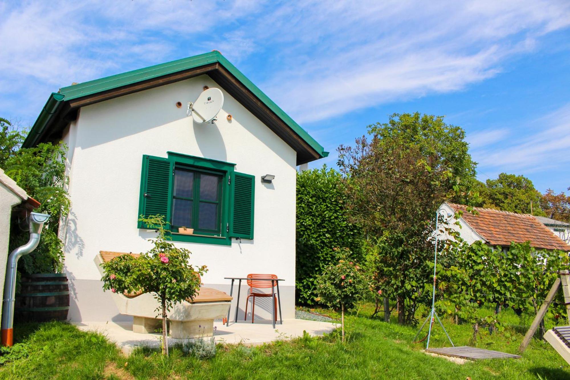 Kellerstoeckl Am Berg Villa Eisenberg an der Pinka ภายนอก รูปภาพ