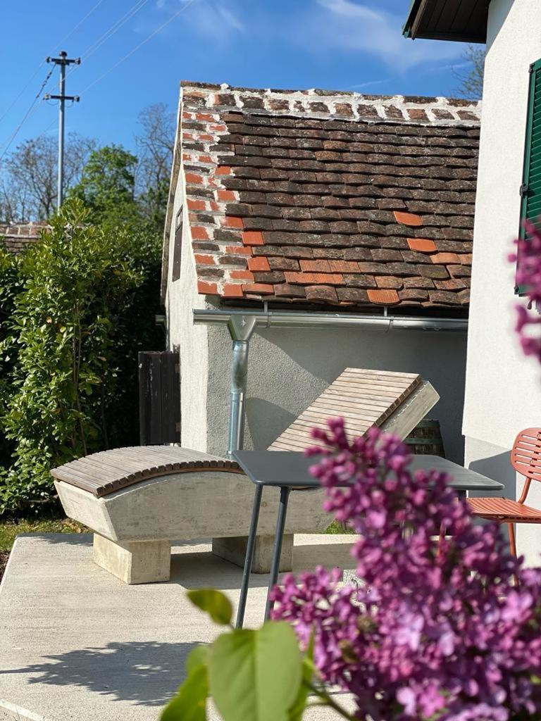 Kellerstoeckl Am Berg Villa Eisenberg an der Pinka ภายนอก รูปภาพ